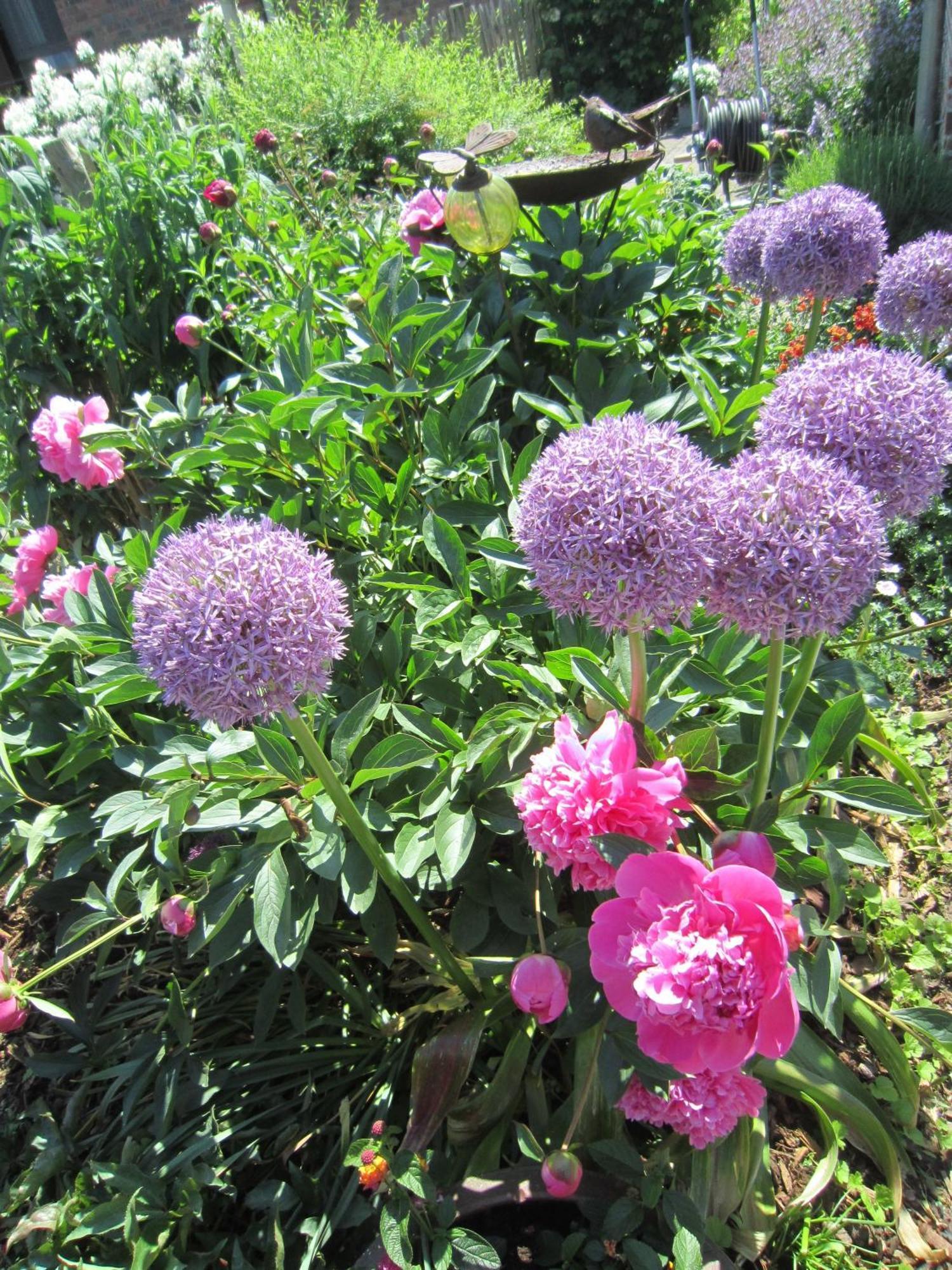 Kortenberg B&B Aline Florentine - Adults Only - Luxury B&B - Chambres D'Hotes - Zimmer Frei מראה חיצוני תמונה