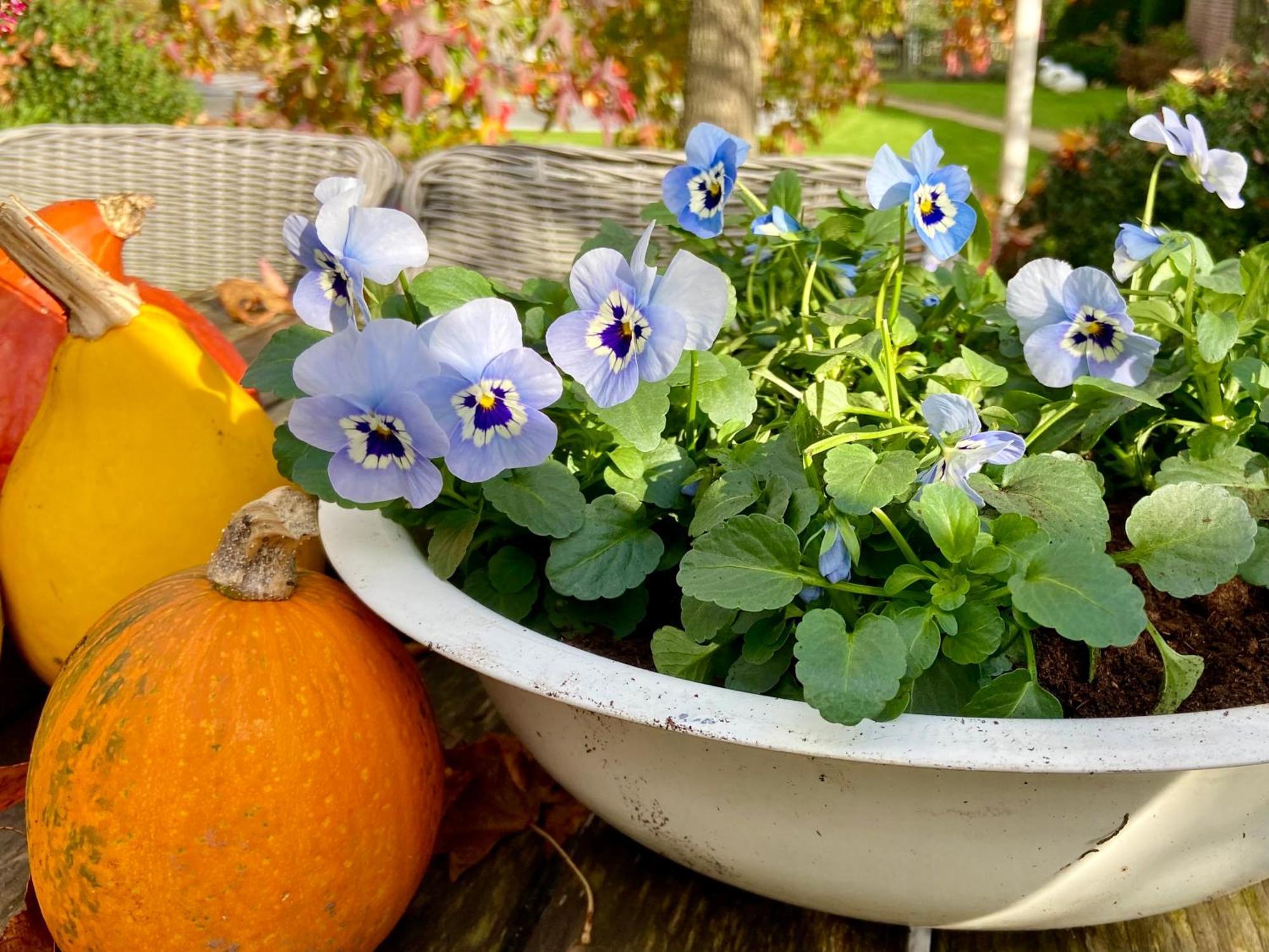 Kortenberg B&B Aline Florentine - Adults Only - Luxury B&B - Chambres D'Hotes - Zimmer Frei מראה חיצוני תמונה